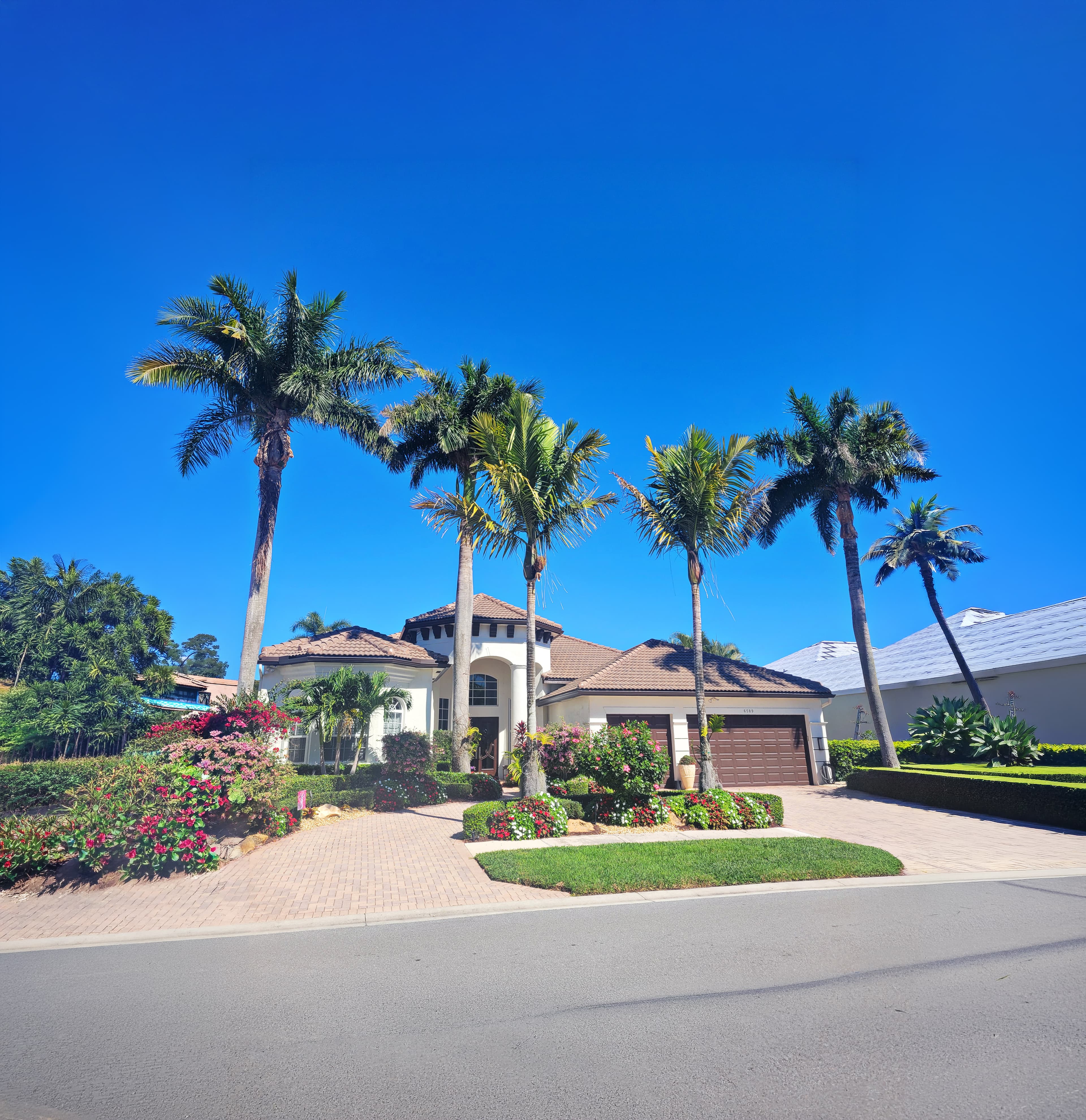 Residential Florida home with mature palm trees, tile roof, and bright morning sky